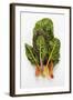 Rainbow Chard-Herbert Lehmann-Framed Photographic Print