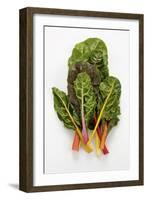 Rainbow Chard-Herbert Lehmann-Framed Photographic Print