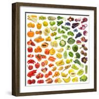 Rainbow Collection of Fruits and Vegetables-egal-Framed Photographic Print