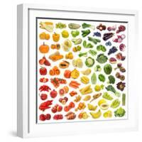 Rainbow Collection of Fruits and Vegetables-egal-Framed Photographic Print