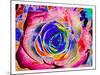 Rainbow-Colored Rose-Rich LaPenna-Mounted Print