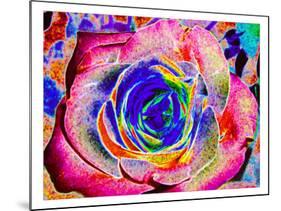 Rainbow-Colored Rose-Rich LaPenna-Mounted Print