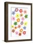 Rainbow Daisies-Ania Zwara-Framed Photographic Print