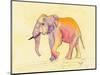 Rainbow Elephant-Beverly Dyer-Mounted Art Print