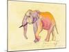 Rainbow Elephant-Beverly Dyer-Mounted Art Print