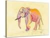 Rainbow Elephant-Beverly Dyer-Stretched Canvas