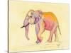 Rainbow Elephant-Beverly Dyer-Stretched Canvas