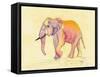 Rainbow Elephant-Beverly Dyer-Framed Stretched Canvas
