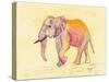 Rainbow Elephant-Beverly Dyer-Stretched Canvas