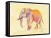 Rainbow Elephant-Beverly Dyer-Framed Stretched Canvas