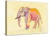 Rainbow Elephant-Beverly Dyer-Stretched Canvas