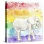 Rainbow Elephant-Tammy Kushnir-Stretched Canvas