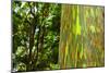 Rainbow Eucalyptus bark, Mindanao Gum, Island of Kauai, Hawaii, USA-Russ Bishop-Mounted Photographic Print