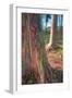 Rainbow Eucalyptus Grove, Kauai-Vincent James-Framed Photographic Print