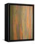 Rainbow Eucalyptus Tree Bark-Lew Robertson-Framed Stretched Canvas