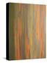 Rainbow Eucalyptus Tree Bark-Lew Robertson-Stretched Canvas