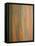 Rainbow Eucalyptus Tree Bark-Lew Robertson-Framed Stretched Canvas