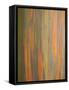 Rainbow Eucalyptus Tree Bark-Lew Robertson-Framed Stretched Canvas