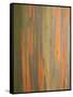 Rainbow Eucalyptus Tree Bark-Lew Robertson-Framed Stretched Canvas