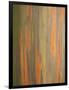 Rainbow Eucalyptus Tree Bark-Lew Robertson-Framed Photographic Print