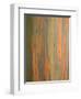 Rainbow Eucalyptus Tree Bark-Lew Robertson-Framed Photographic Print