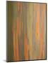 Rainbow Eucalyptus Tree Bark-Lew Robertson-Mounted Photographic Print