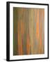 Rainbow Eucalyptus Tree Bark-Lew Robertson-Framed Photographic Print