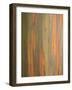 Rainbow Eucalyptus Tree Bark-Lew Robertson-Framed Photographic Print