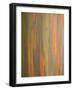 Rainbow Eucalyptus Tree Bark-Lew Robertson-Framed Photographic Print