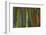 rainbow eucalyptus tree bark-Edward Myles-Framed Photographic Print