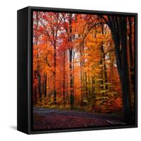 Rainbow Fall-Philippe Sainte-Laudy-Framed Stretched Canvas