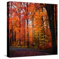 Rainbow Fall-Philippe Sainte-Laudy-Stretched Canvas