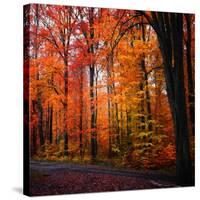 Rainbow Fall-Philippe Sainte-Laudy-Stretched Canvas