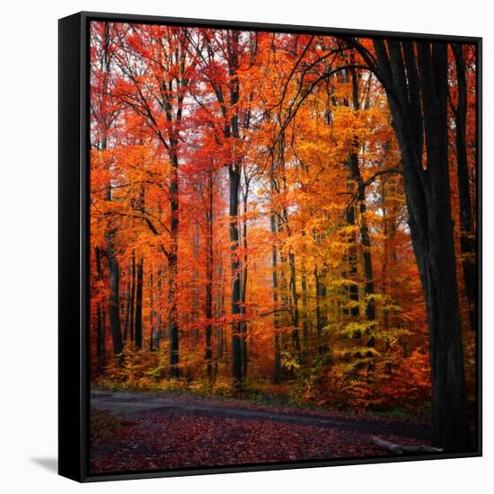 Rainbow Fall-Philippe Sainte-Laudy-Framed Stretched Canvas