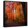 Rainbow Fall-Philippe Sainte-Laudy-Framed Stretched Canvas