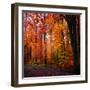 Rainbow Fall-Philippe Sainte-Laudy-Framed Photographic Print