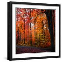 Rainbow Fall-Philippe Sainte-Laudy-Framed Photographic Print