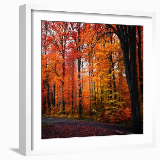 Rainbow Fall-Philippe Sainte-Laudy-Framed Photographic Print