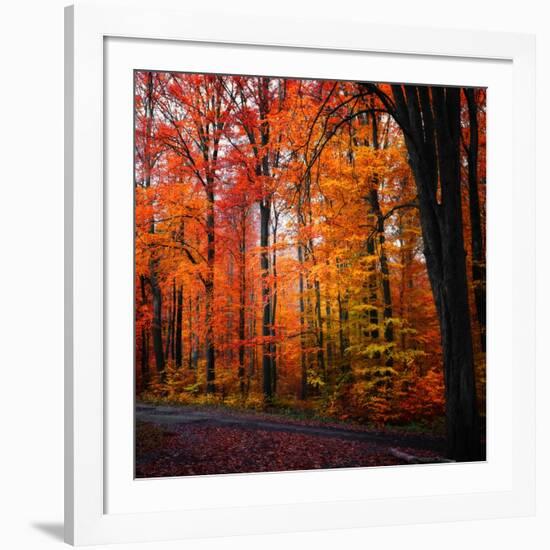 Rainbow Fall-Philippe Sainte-Laudy-Framed Photographic Print