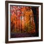 Rainbow Fall-Philippe Sainte-Laudy-Framed Photographic Print