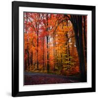 Rainbow Fall-Philippe Sainte-Laudy-Framed Photographic Print