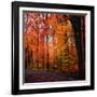 Rainbow Fall-Philippe Sainte-Laudy-Framed Photographic Print