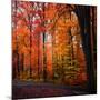 Rainbow Fall-Philippe Sainte-Laudy-Mounted Photographic Print