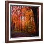 Rainbow Fall-Philippe Sainte-Laudy-Framed Photographic Print