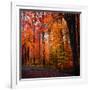 Rainbow Fall-Philippe Sainte-Laudy-Framed Photographic Print