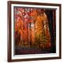 Rainbow Fall-Philippe Sainte-Laudy-Framed Photographic Print