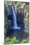 Rainbow Falls, Hilo, Hawaii Island (Big Island), Hawaii, United States of America, Pacific-Rolf Richardson-Mounted Photographic Print