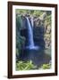 Rainbow Falls, Hilo, Hawaii Island (Big Island), Hawaii, United States of America, Pacific-Rolf Richardson-Framed Photographic Print