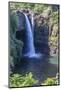 Rainbow Falls, Hilo, Hawaii Island (Big Island), Hawaii, United States of America, Pacific-Rolf Richardson-Mounted Photographic Print