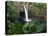 Rainbow Falls, Hilo, Island of Hawaii, Hawaiian Islands, USA-null-Stretched Canvas